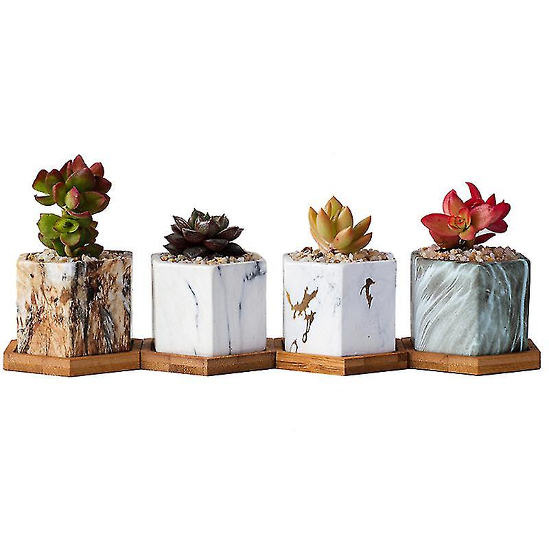 4pcs Ceramic Succulents Pot