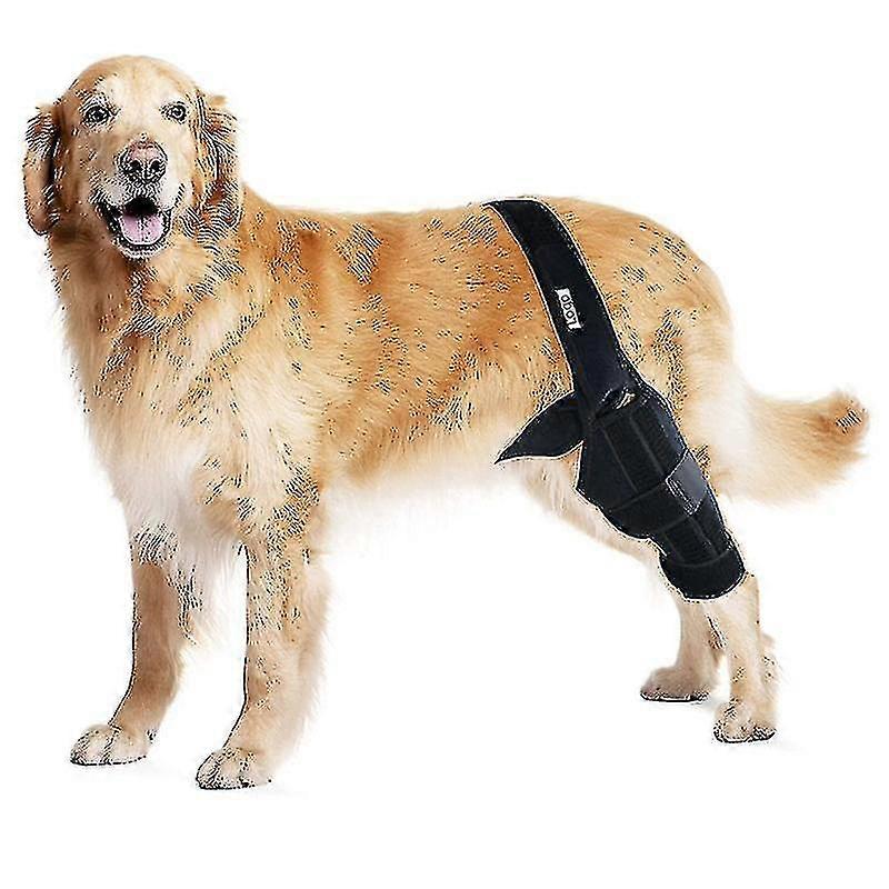 Dog Knee Brace For Torn Acl, Support For Hind Leg And Hip, Reduces Arthritis Pain