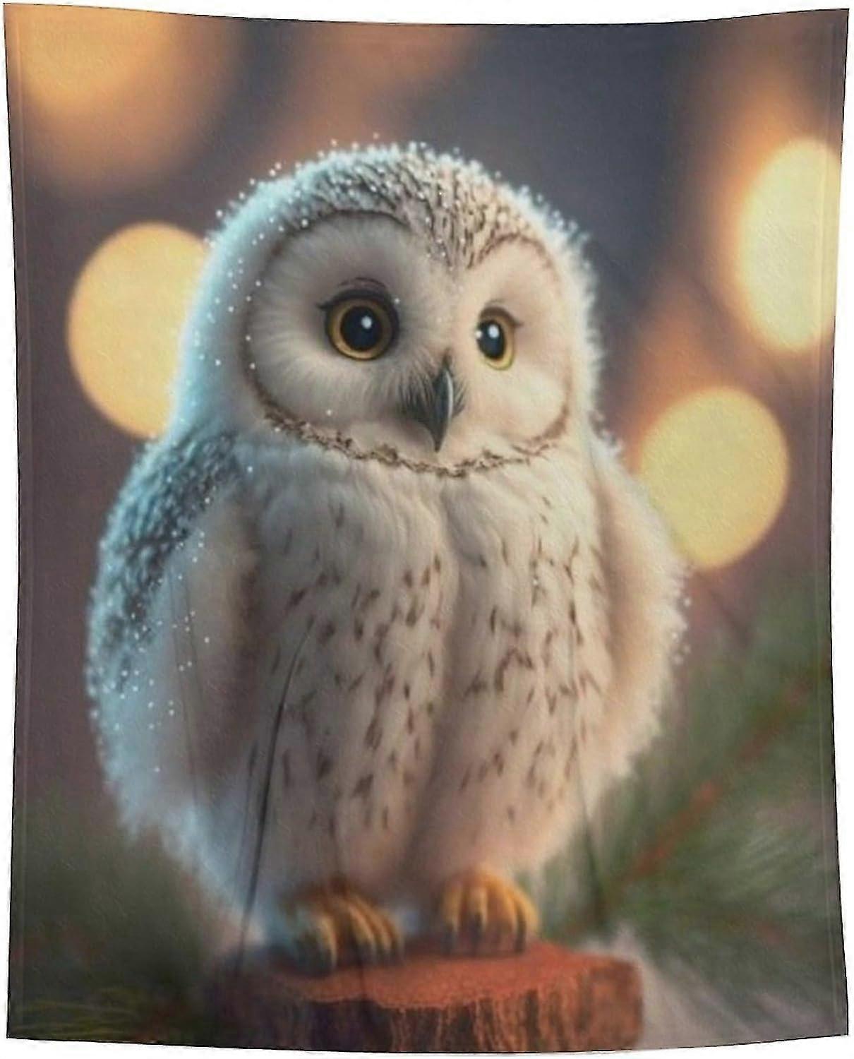 بطانية رمي القمر ، رمي أريكة أفخم دافئة سميكة ناعمة طوال الموسم ، بطانية فانيلا مريحةOwlQ / Q1503ids10903