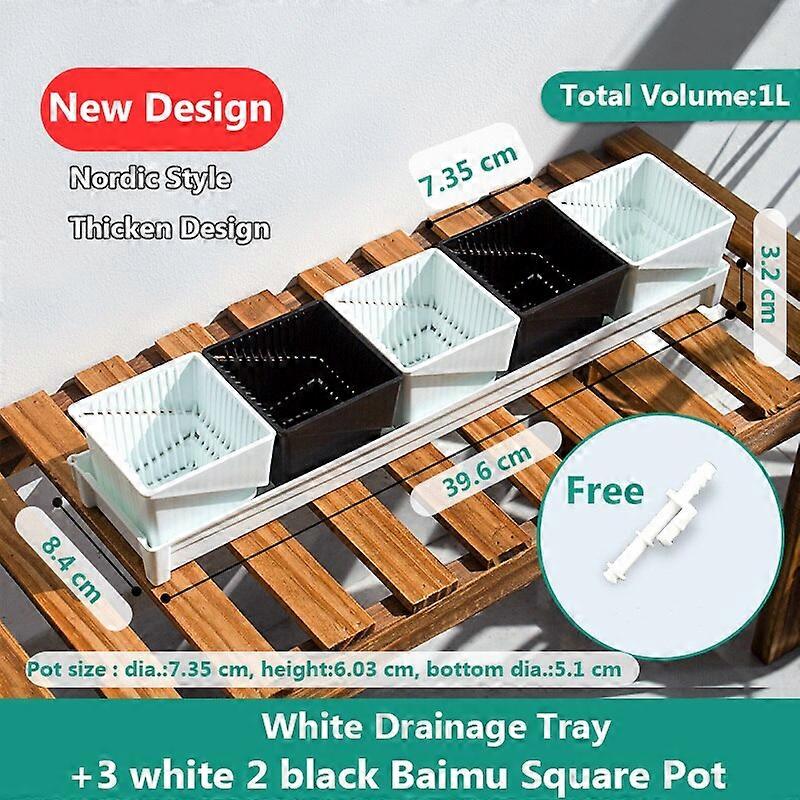 5 pots 1 tray w N Meshpot Succulent Pot Set Cactus Pot Planter Good Air System Breathable Beyond Ceramic Planter Plastic Windowsill Flower Pot