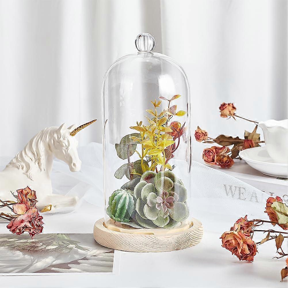 1 Pc Glass Display Dome Cloche 4.45x8.27 Inch Cloche Bell Jar