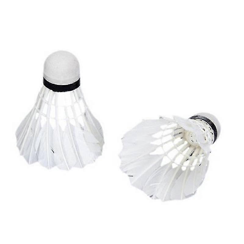 Feather & Foam Plastic Led Light