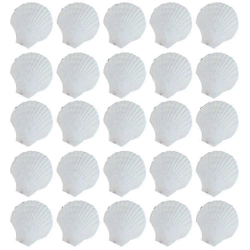 25pcs Concha de Concha de Concha de Concha de Concha de Concha
