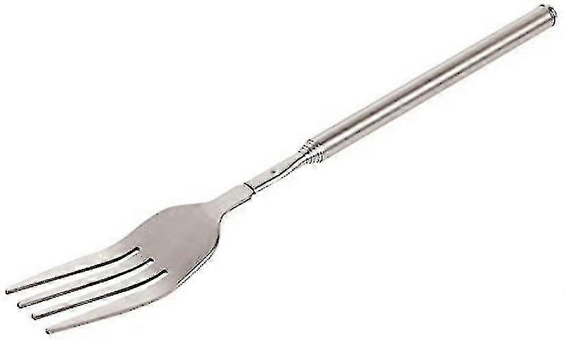 Extendable Fork Telescopic Fork Extendable Long Handle Fork Barbecue Toasting Dinner Fruit Dessert Long Fork Cutlery (1 Pc)474