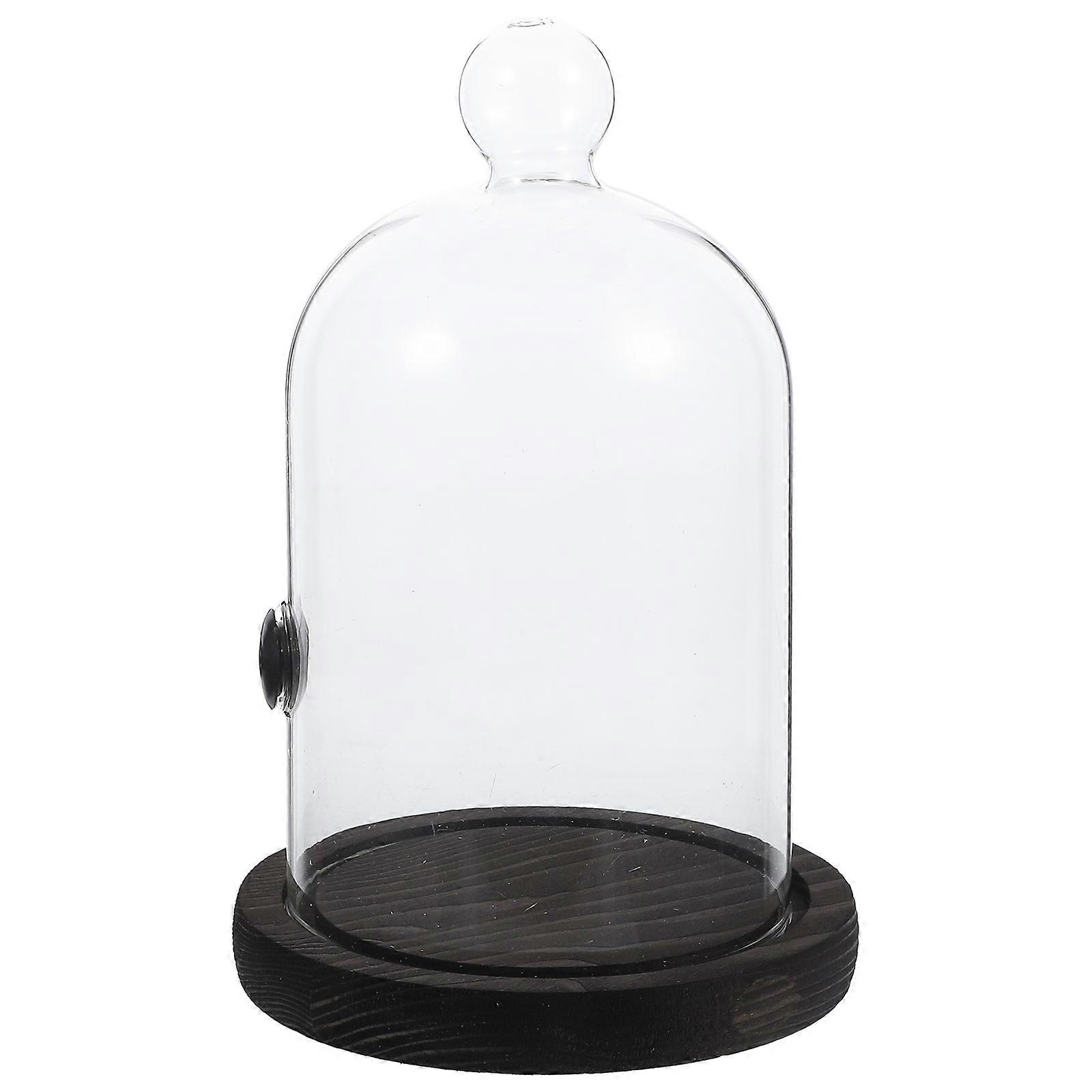 Smoking Cloche Set Cake Dome Cover For Desserts Round Shape 1 Set