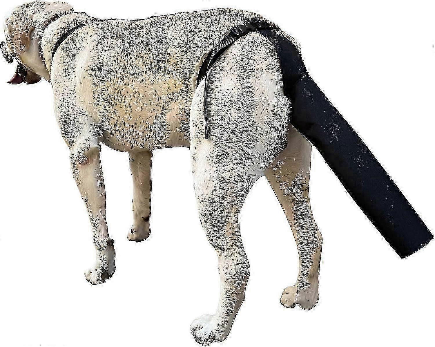 2 قطعة حامي ذيل ، غطاء ذيل للجروح الأسود