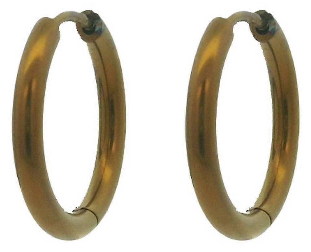 Ti2 Titanium Medium Round Hinged Hoop Earrings - Tan
