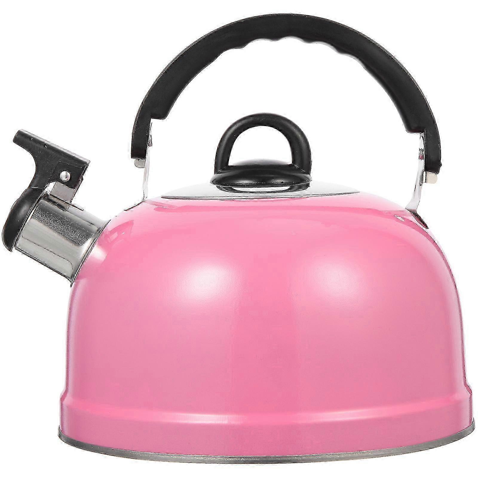 Stainless steel kettle for loose leaf tea infusion
