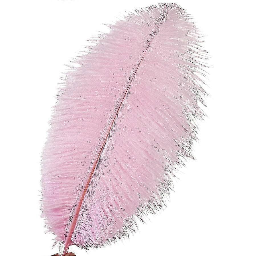 50pcs Ostrich Feathers For Decorations 26s