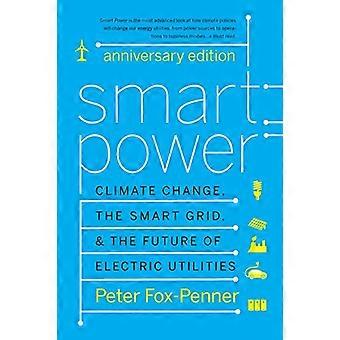 Smart Power: Zmiany klimatu, Smart Grid i przyszłość elektryczne narzędzia