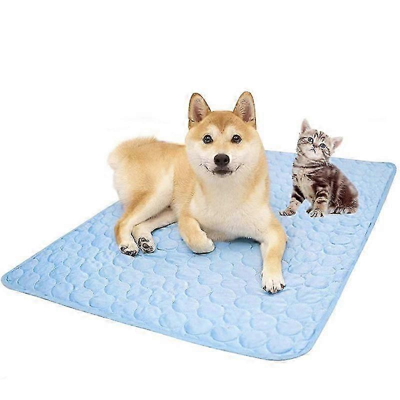 Cooling Ice Silk Mat for Summer