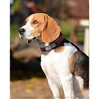 Dww-Red L Size, 1 Unit Customizable Leather Dog Collar Designed for Large-sized Dogs