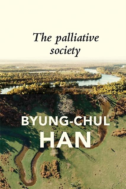 The Palliative Society by ByungChul Han Paperback