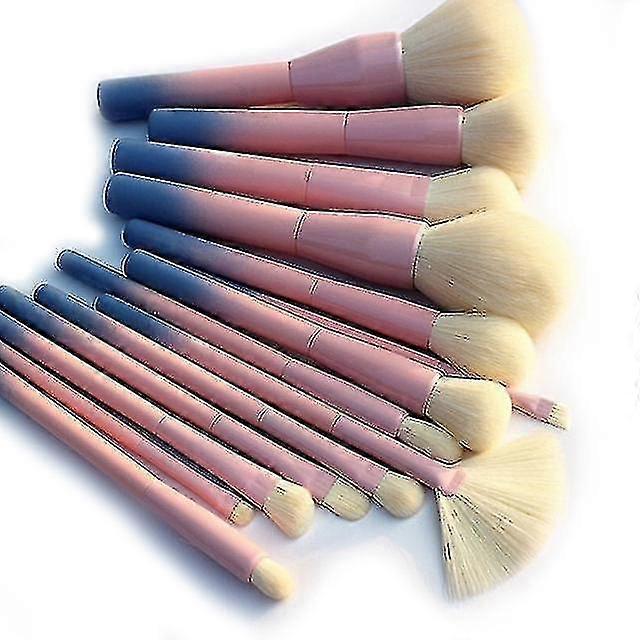 Pro Gradient Color 14pcs Set Soft Cosmetic Makeup Brush