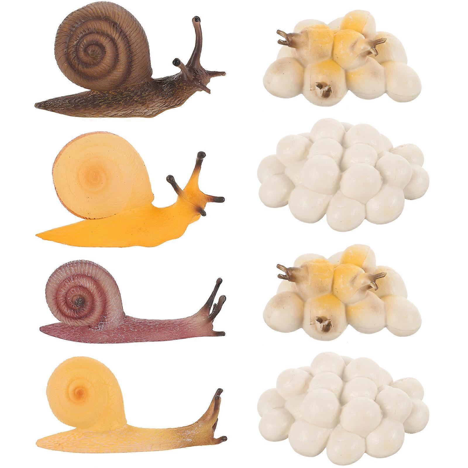 2 Sets Snail Growth Model Snail Growing Cycle Toys Snail Educational Models Cartoon Snail Models