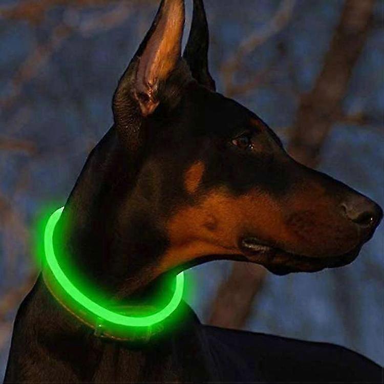 Dog Light Collar, Multicoloured Usb Rechargeable Led Dog Collar(green)