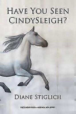 Have You Seen CindySleigh