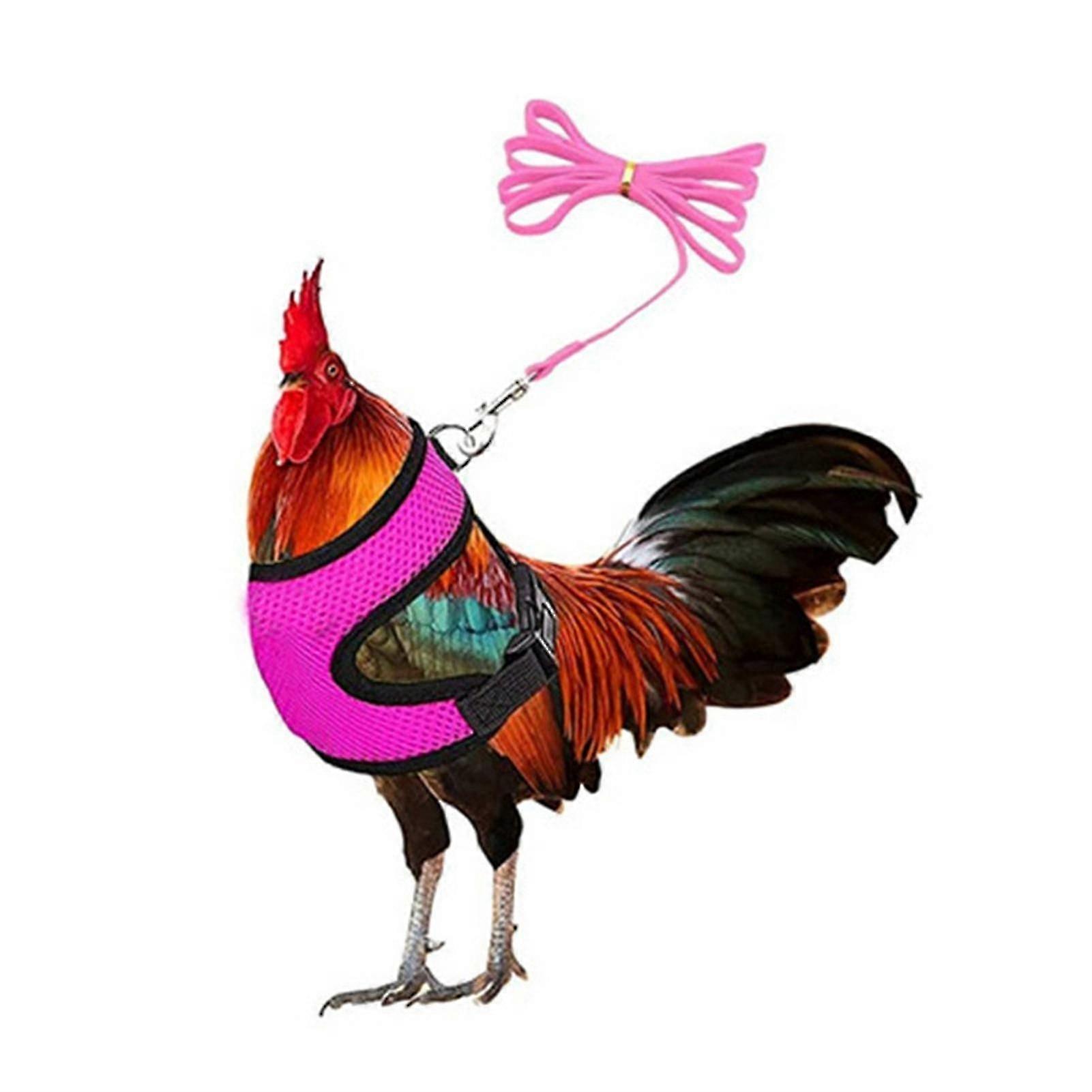 1 Set Chicken Harness With Leash Breathable Adjustable Chicken Duck Poultry Vest For Backyard
