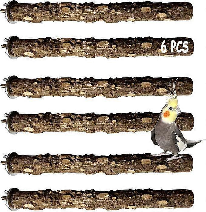 الطيور ببغاء جثم مجموعة الوقوف 6 قطع الببغاء الخشب الطبيعي الدائمة اللعب الشائك عصا مخلب طحن فرع منصة الكوكاتيل قفص الملحقات ل Conure