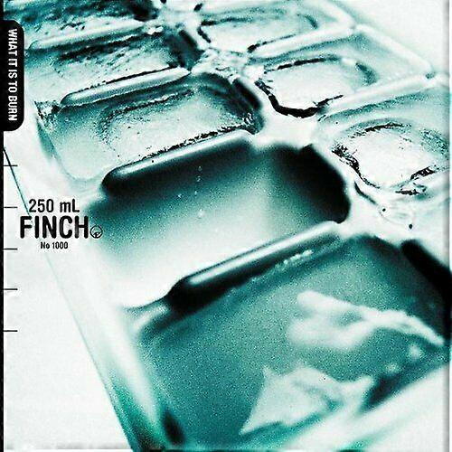 Finch Ce înseamnă să inscripționezi un CD