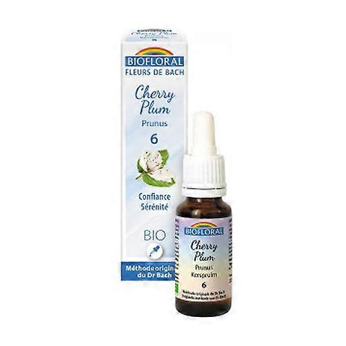 Cherry Plum 20 ml of floral elixir