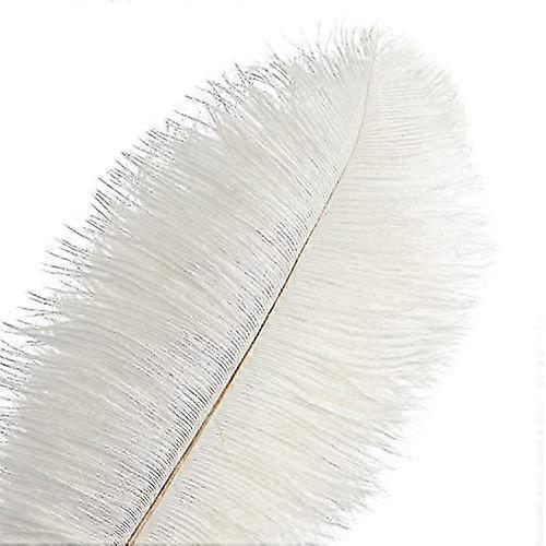 50pcs Ostrich Feathers For Decorations 26s
