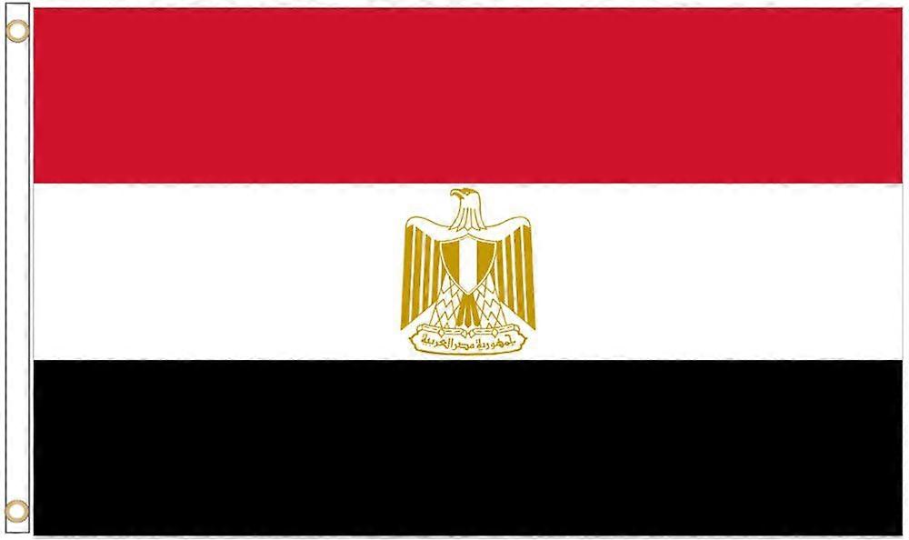 Egyptens VM-flagstil-0080