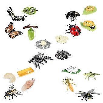 Lebenszyklus Figuren von Schmetterling Spinne Biene Marienkäfer Libelle, Kunststoff Insekt Wanze Figuren Spielzeug, Sch
