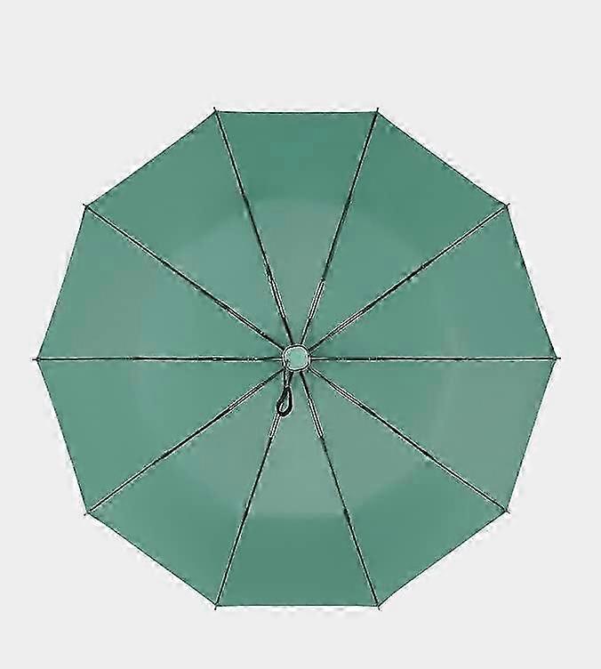 UV Windproof Auto-Open Travel Umbrella