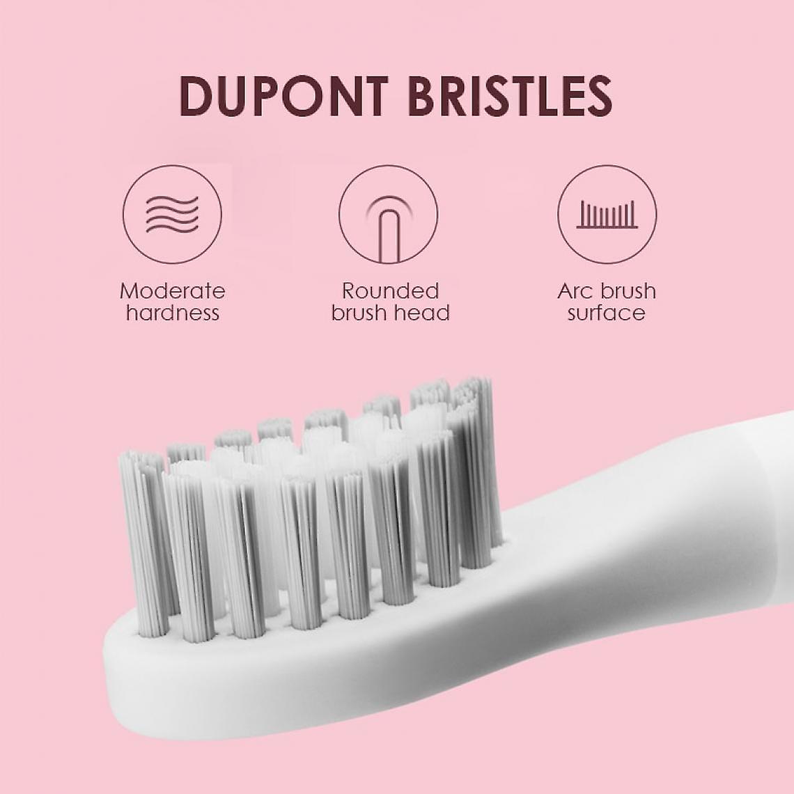 Electric Acoustic Toothbrush Timer Usb Rechargeable Tooth Brush Automatic Deep Clean Waterproof Radio Charging(pink)