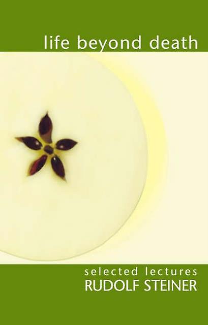 Life Beyond Death by Rudolf Steiner Paperback