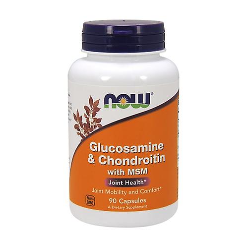 Glucosamine & Chondrotoin with MSM 90 capsules