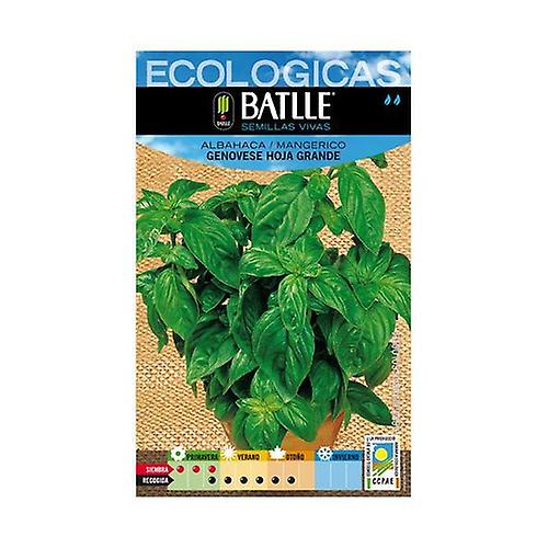 Basil Genovese Large Leaf Seeds 1 packets