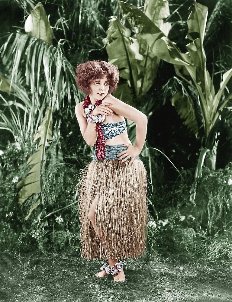 Hula Poster