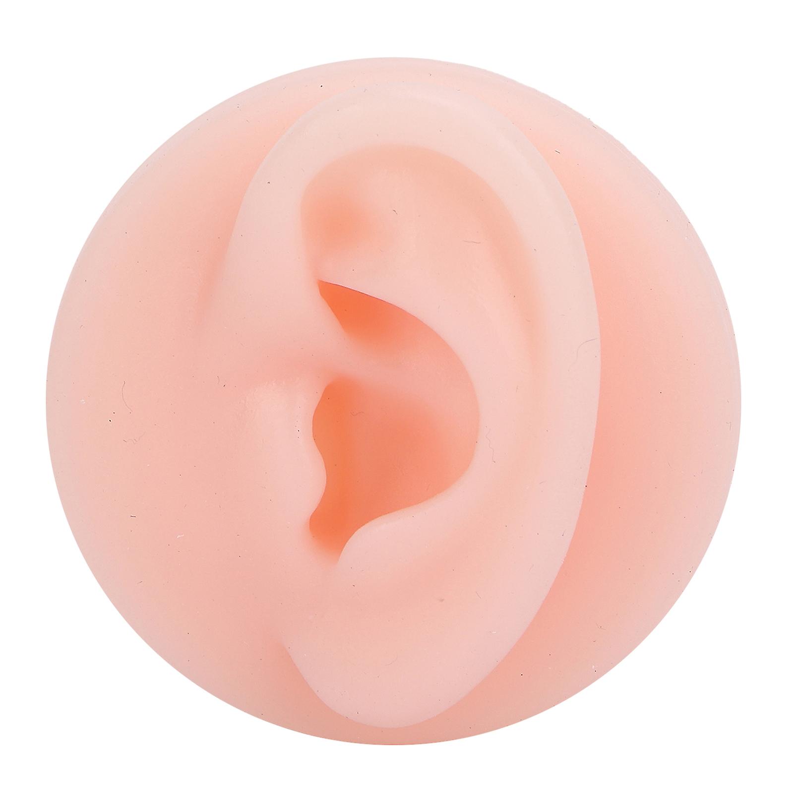 Professional Soft Silicone Ear Model Fake Ear Display Sample Ear Acupuncture Practice ModelLeft Ear