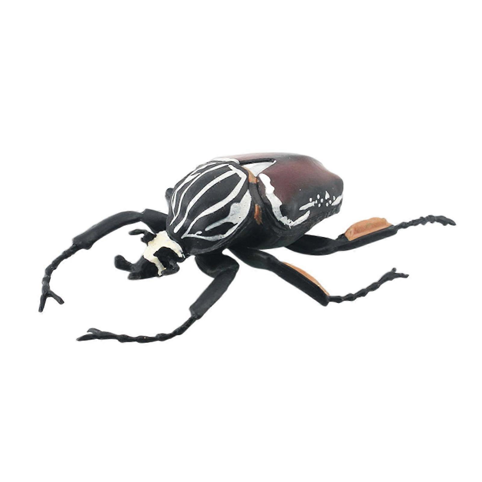 Insect Model Vivid Look Grasshopper Dragonfly Frog Miniature Figurine Early Learning PVC Insect Beetle Statue Model Desktop Decoration Educational Toy