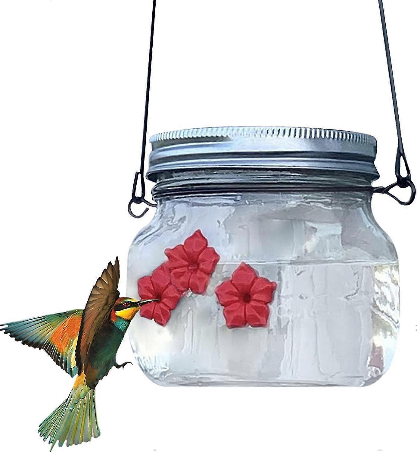 Mangeoires à colibris pour l’extérieur suspendues 475 ml Pot Mason Mangeoire à colibris Mangeoire à colibris Fenêtre suspendue transparente Mangeoire à colibris pour la décoration de la cour de jardin 2 Pack