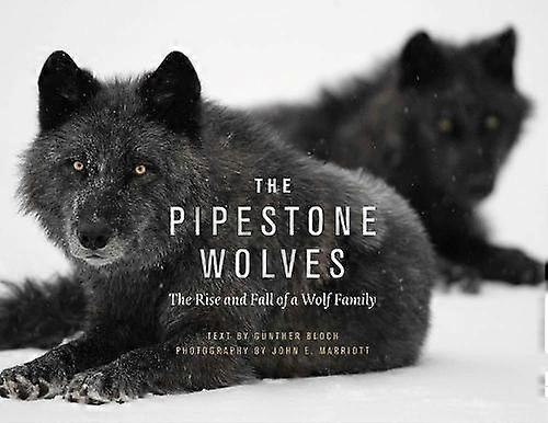 The Pipestone Wolves by Gnther Bloch Paperback