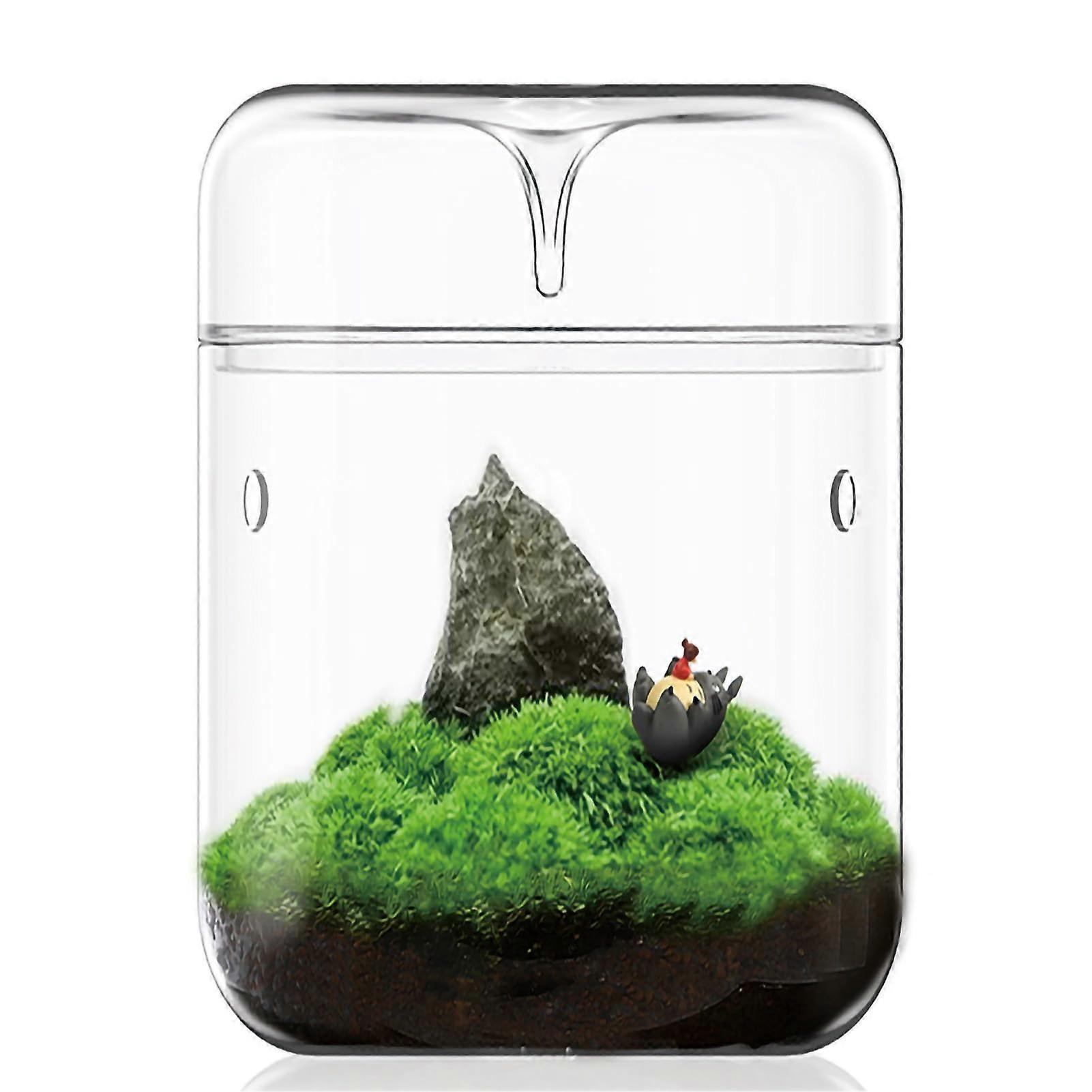 Glass terrarium 4.7x7 inches succulent air planter with lid