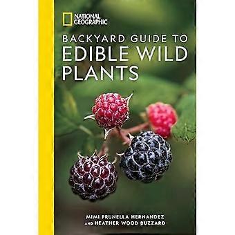 National Geographic Backyard Guide für essbare Wildpflanzen