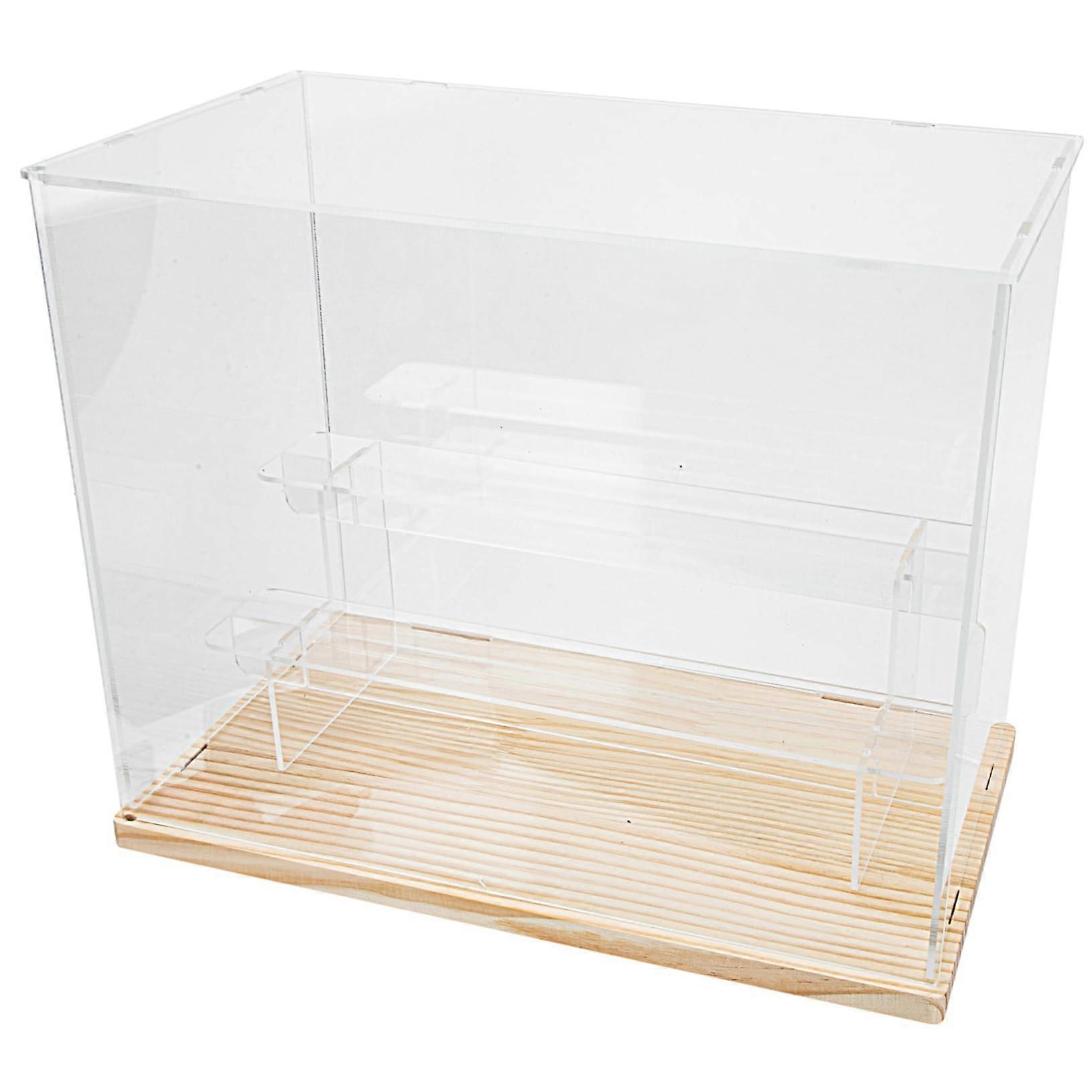Display Case for Dolls
Tiered Transparent Storage Box for Dolls for Display and Organization of Collectibles
Stylish Exhibition Shelf