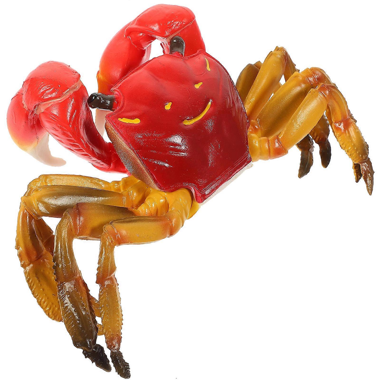 Simulated Crab Model Realistic Educational Playset for Creative Learning and Parent Interaction