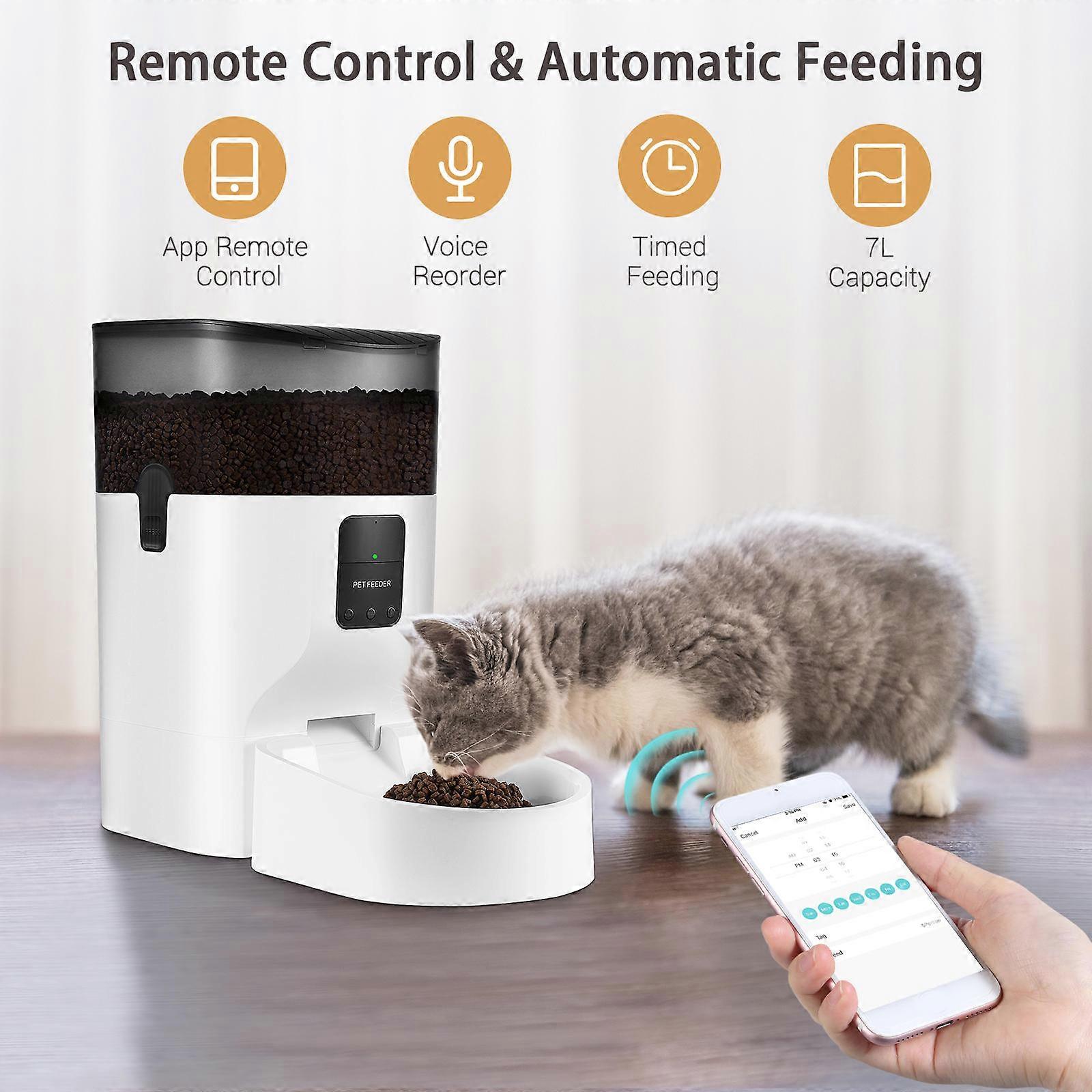 Dog Feeder Automatic Smart Design with Plug Voice Recording App Control 36.00X19.00X19.00CM Black 1Set