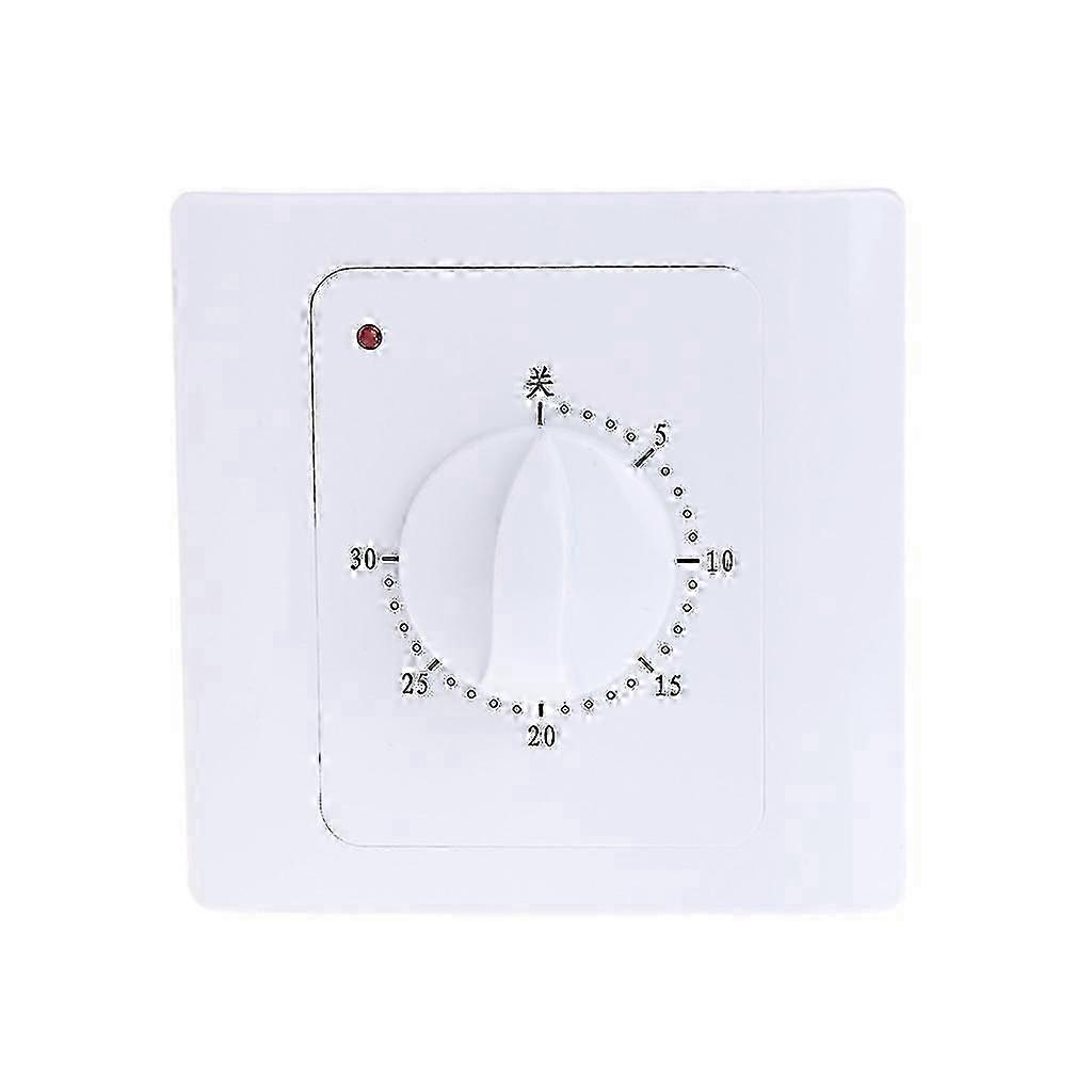30 min Countdown Timer Switch Ac10a 220V Electric Digital Time Plug Control Button FT