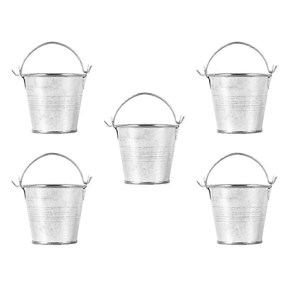 Iron Flower Bucket for Storage 5Pcs Nordic Style Flower Succulent Holders