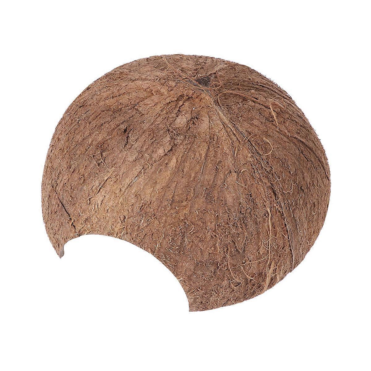 Reptile Hideout Coconut Shell Shelter for Environment Handmade Light Brown