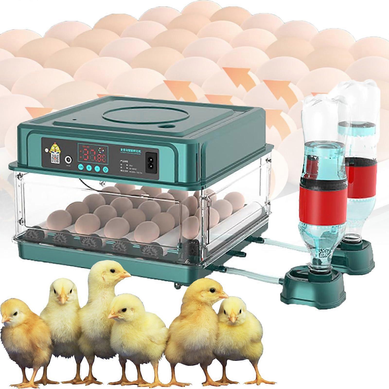 Automatic Egg Incubator 24 Eggs with Temperature Control, Auto Turning, Adjustable Tray for Poultry