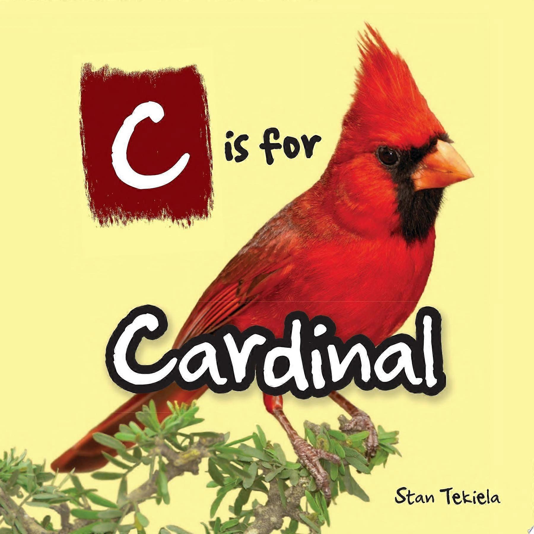 C is for cardinal