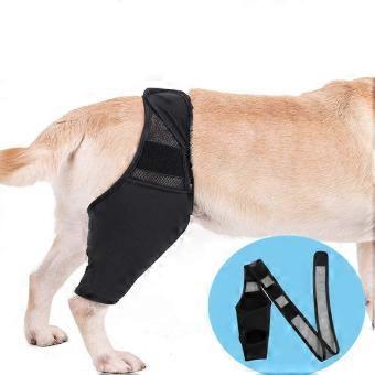 Dog Knee Brace, Leg Support Brace, Adjustable Rear Leg Braces For Injury Dogs For Torn Acl & Ccl Better Recovery-bj