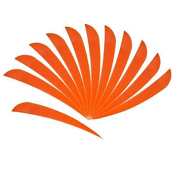 8x12 stycken bågskytte jakt pil fjäder fletching höger vinge fraches 4 tum orange